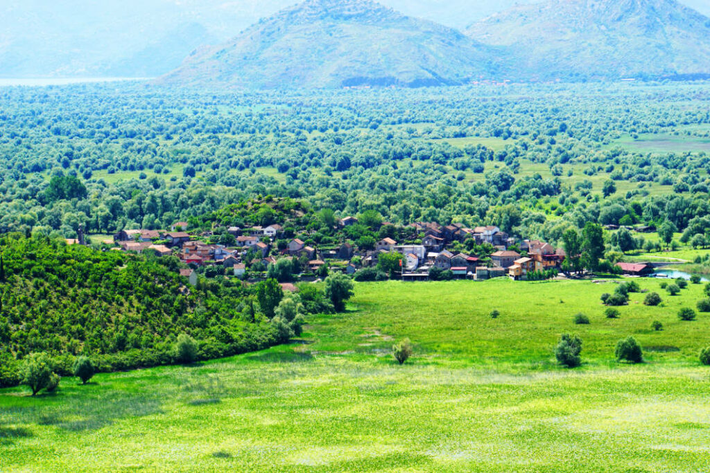 Blick auf das malerische Dorf Dodoši in Montenegro, dessen Steinhäuser sich in eine üppig grüne Hügellandschaft am Rande weitläufiger, bewachsener Sumpfgebiete schmiegen.