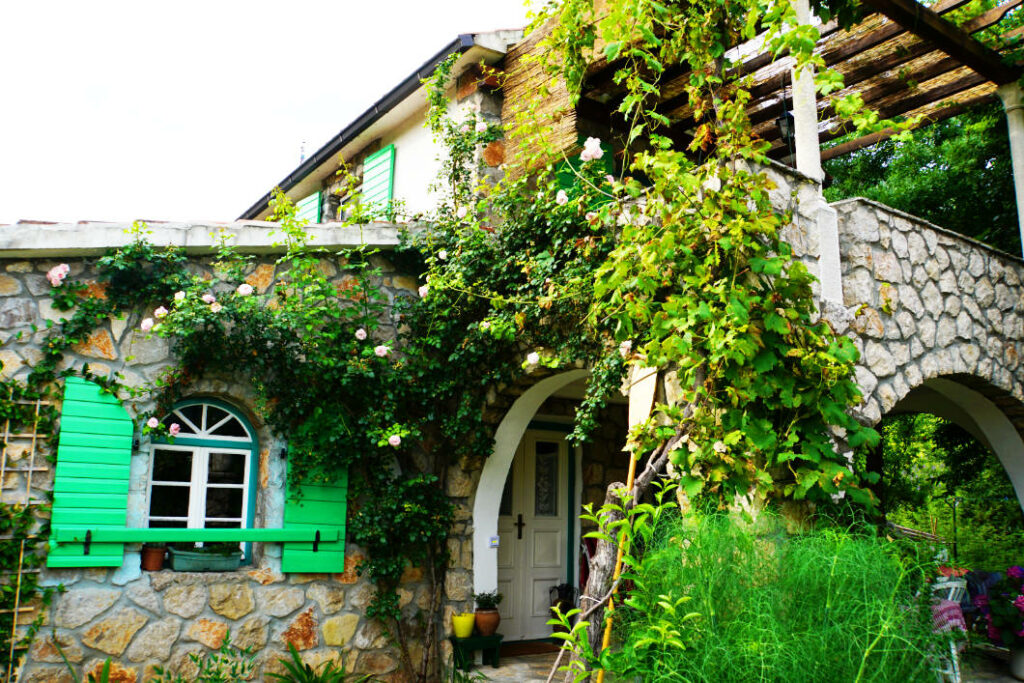 Ein idyllisches Steinhaus in Dodoši, Montenegro, mit leuchtend grünen Fensterläden, einer bogenförmigen weißen Tür und üppig rankenden Pflanzen sowie Rosen an der Fassade.