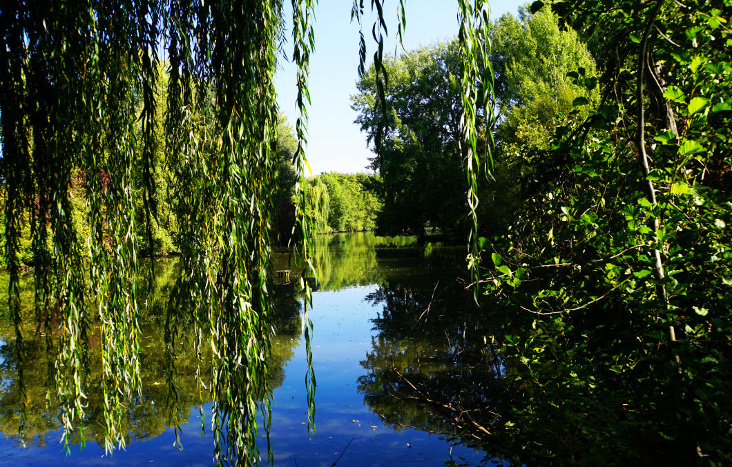 See im Stadtpark von Fürth