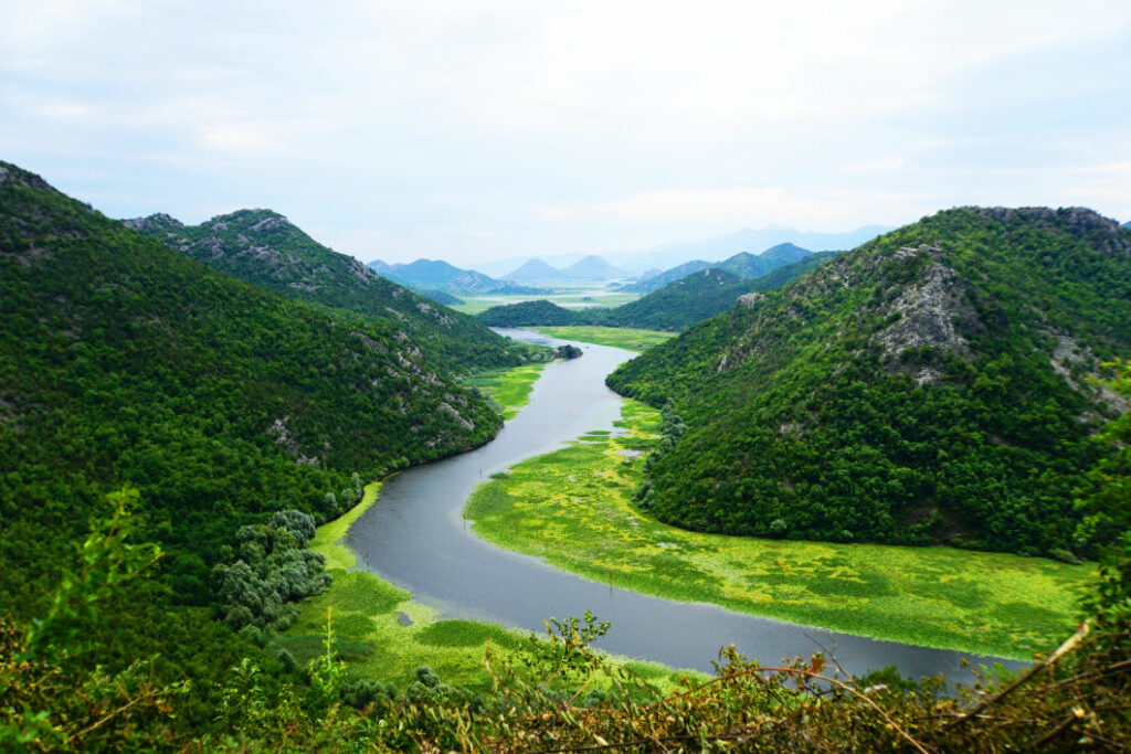 Blick von oben auf den gewundenen Flusslauf des Rijeka Crnojevića, der sich durch die grüne Hügellandschaft des Skadarsee-Nationalparks in Montenegro schlängelt.