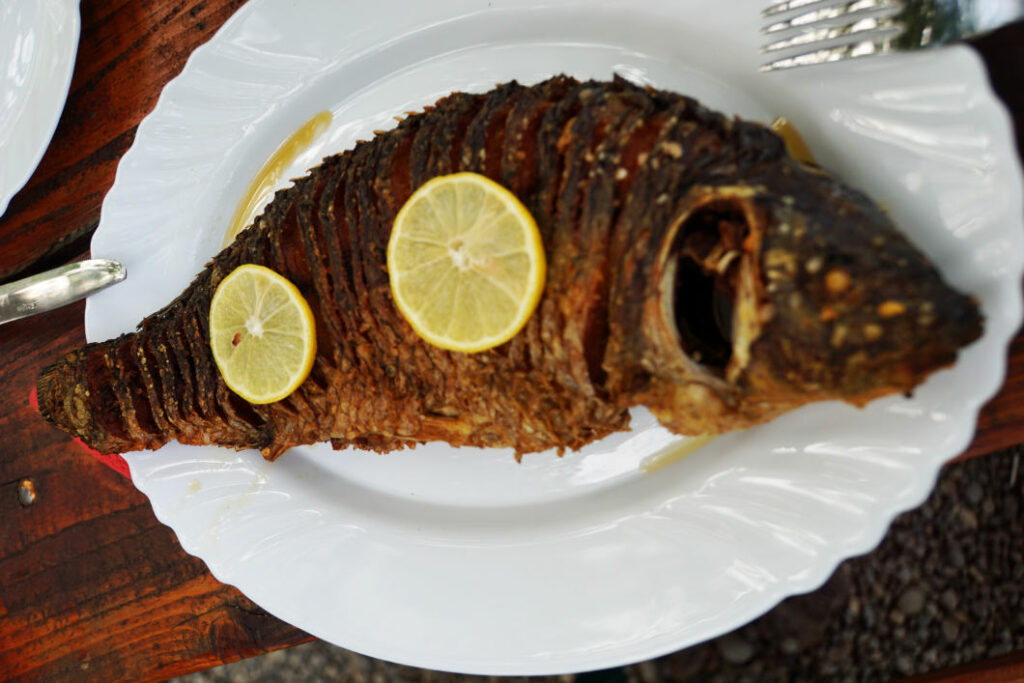 Ein im Ganzen knusprig gebratener Fisch vom Skadarsee in Montenegro, garniert mit zwei Zitronenscheiben, serviert auf einem weißen Porzellanteller.