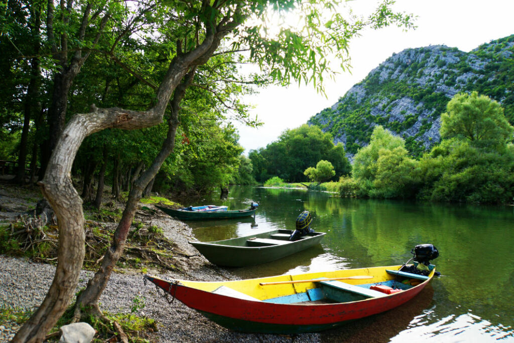 Drei bunte Fischerboote liegen am bewaldeten Ufer des Skadarsees in Montenegro, während sich im Hintergrund eine grüne Berglandschaft im ruhigen Wasser spiegelt.
