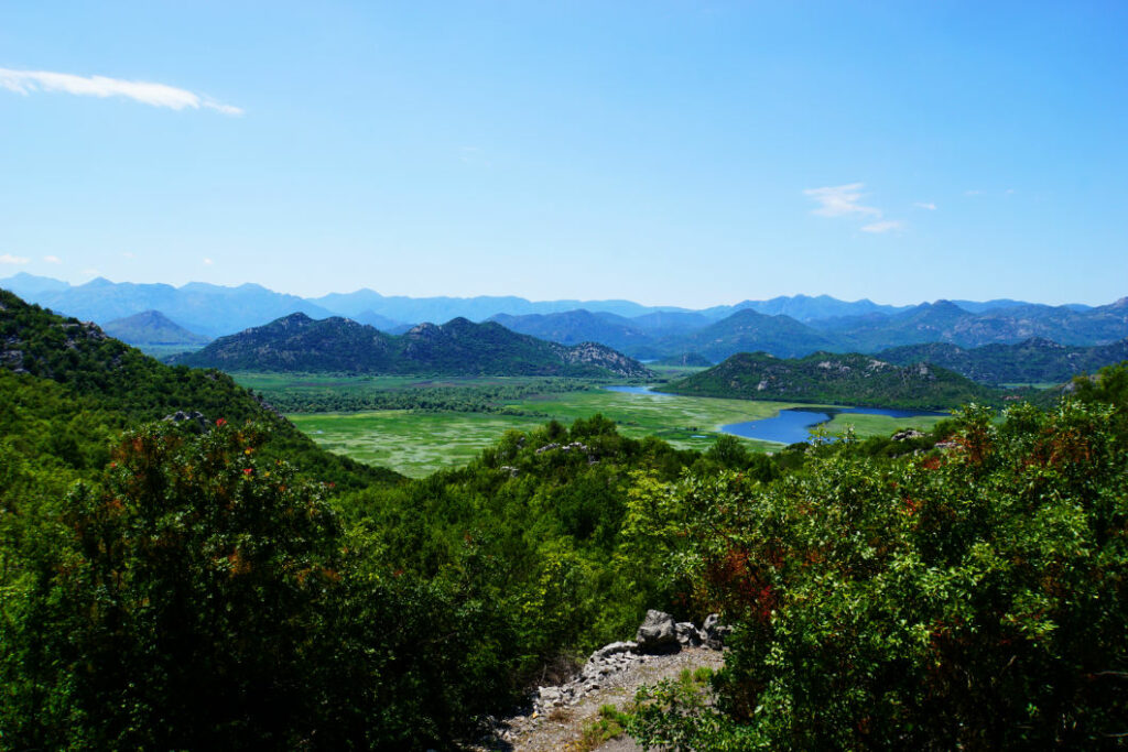 Weite Panoramaaufnahme des Skadarsees in Montenegro, der sich durch eine grüne Sumpflandschaft zwischen bewaldeten Hügeln und fernen Gebirgsketten unter blauem Himmel schlängelt.