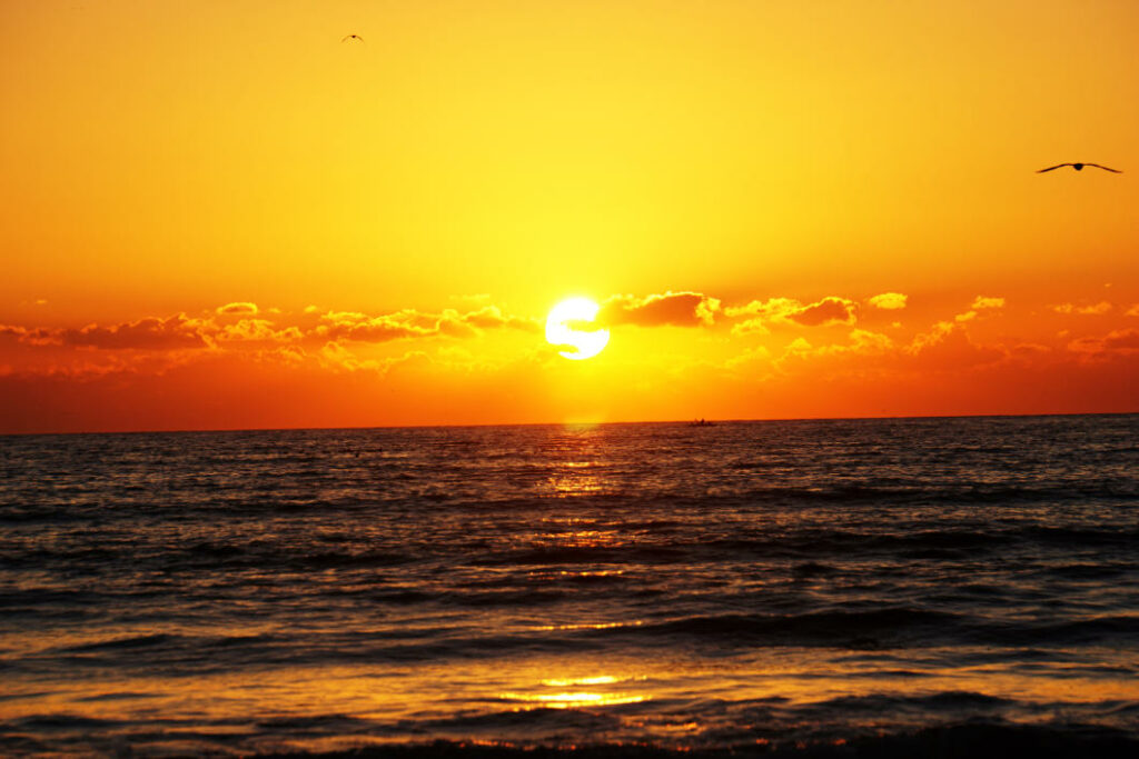 Ein leuchtend gelb-orangefarbener Sonnenuntergang über dem Meer in Agadir im Winter, bei dem die tiefstehende Sonne den Himmel und die Wellen am Strand in warmes Licht taucht. In der Ferne sind kleine Wolkenbänke am Horizont und zwei Vögel im Flug vor dem weiten Himmel zu sehen.