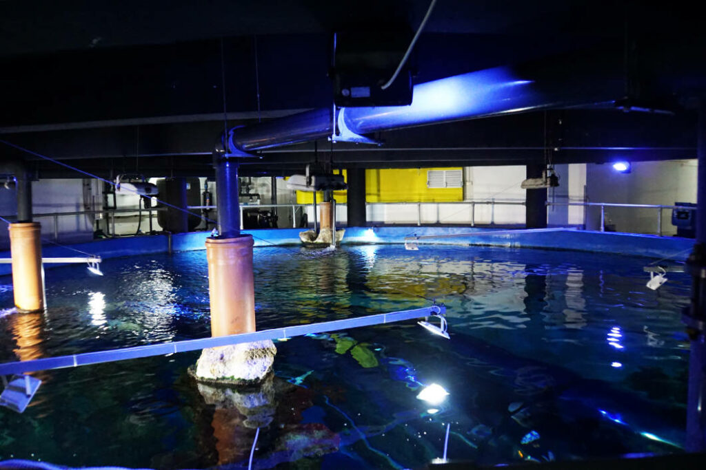 Blick von oben auf das große, blau beleuchtete Hauptbecken im Malta National Aquarium, das von technischen Installationen, Rohren und Scheinwerfern unter einer dunklen Decke umgeben ist.