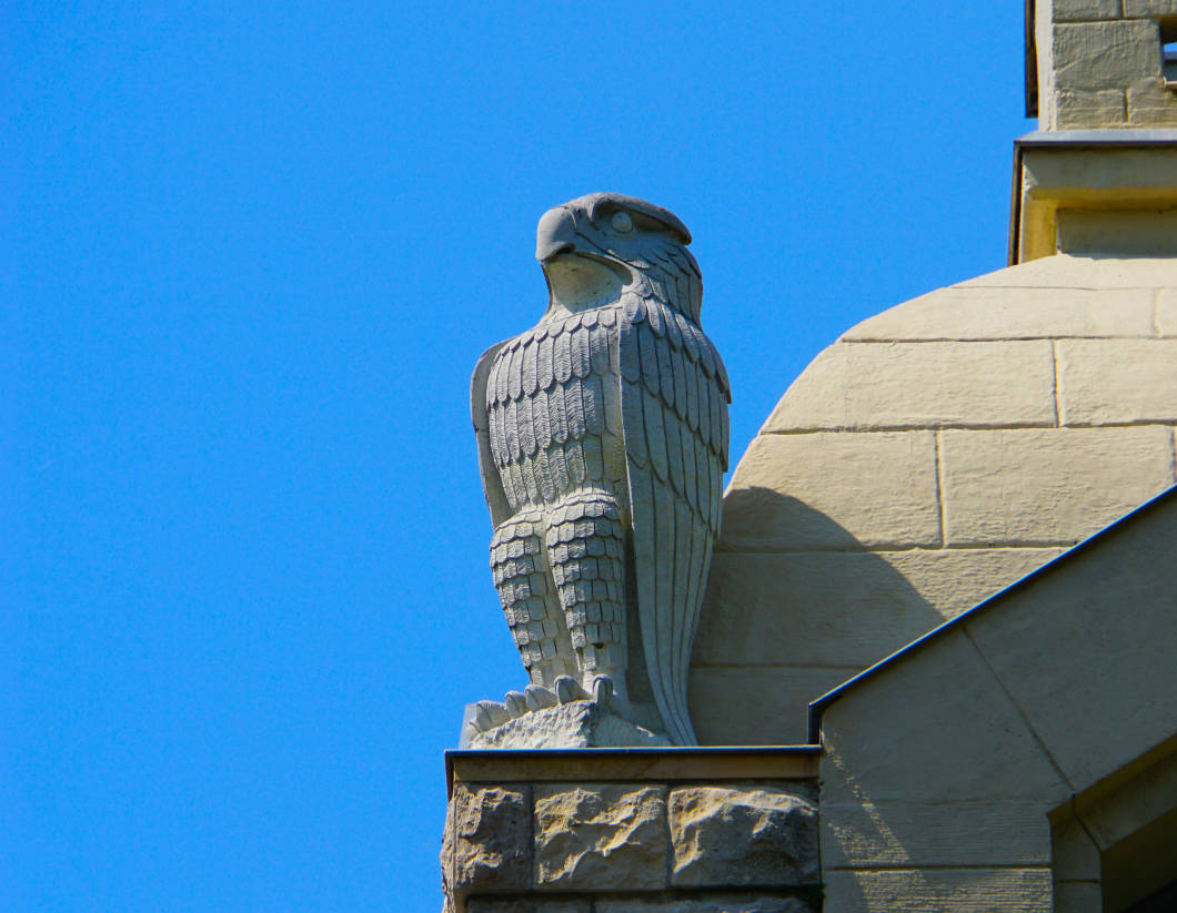 Adler auf dem Turm