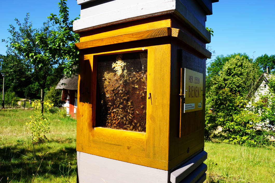 offener Bienenkasten 