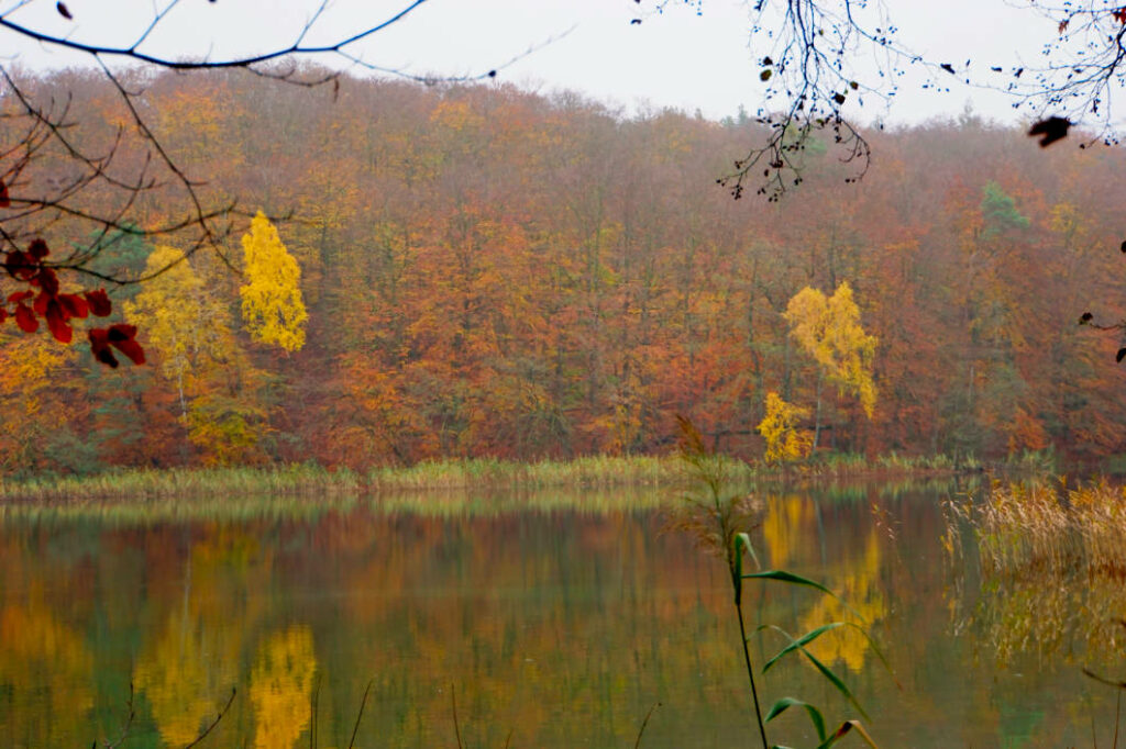 herbstlicher Wummsee Herbst in der Mecklenburgischen Seenplatte