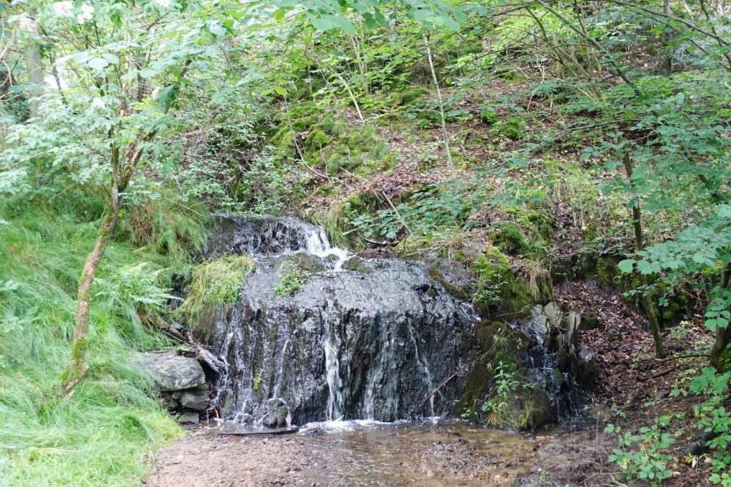 Wasserfall beim Waldgesundheitstraining