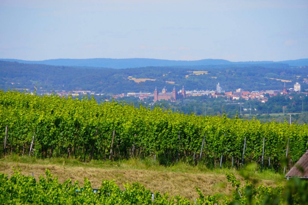 Blick vom Weinberg nach Aschaffenburg