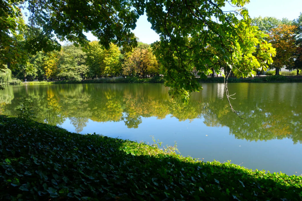 Ein sonniger Blick über einen ruhigen See in einem Warschauer Park, in dessen Wasser sich die dichten, sommergrünen Bäume am Ufer spiegeln.