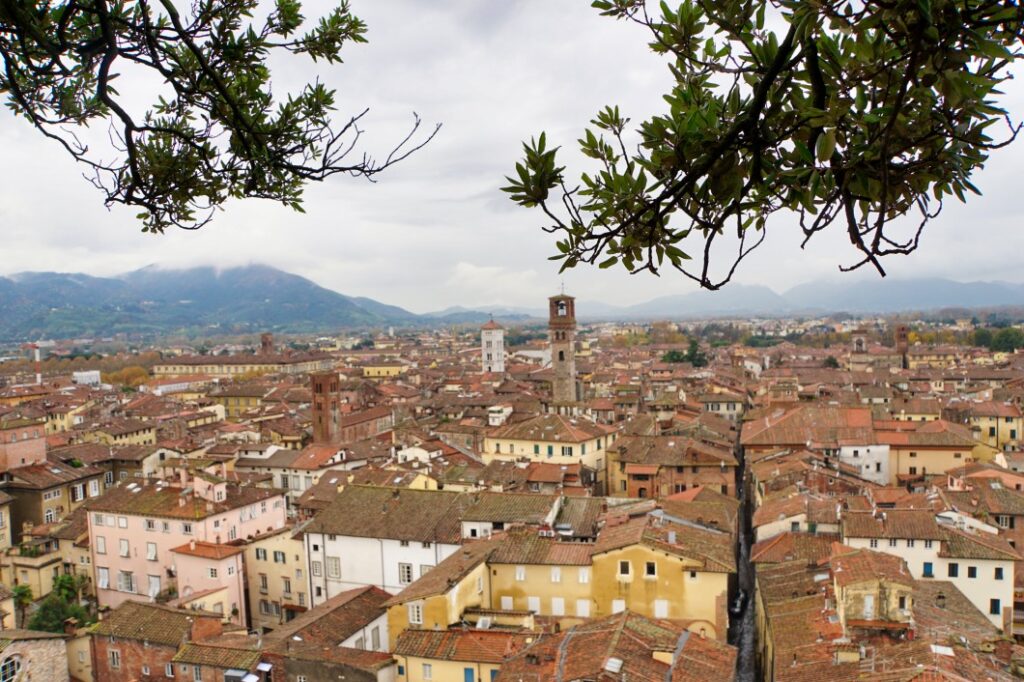 Aussicht auf Lucca