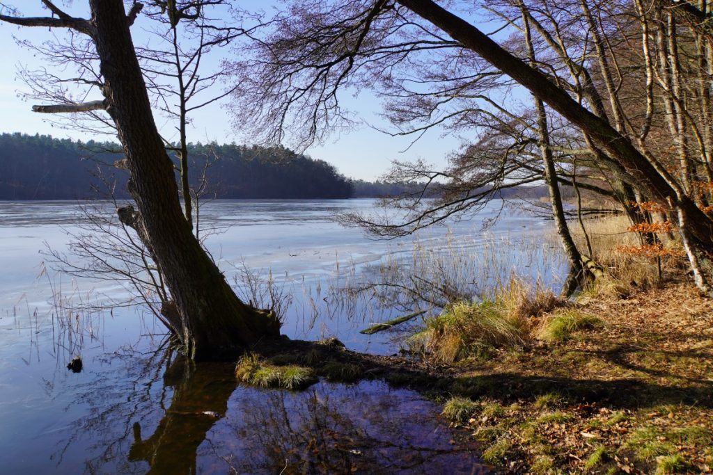 Mühlenbecker See