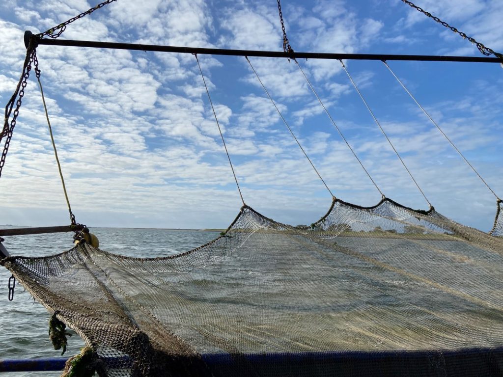 Netze zum Fische fangen