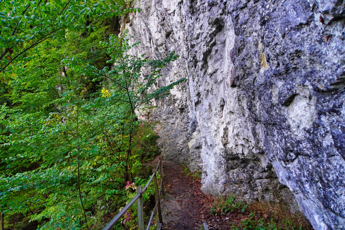 entlang der Felsen bei der Wanderung Traufgang Hossinger Leiter