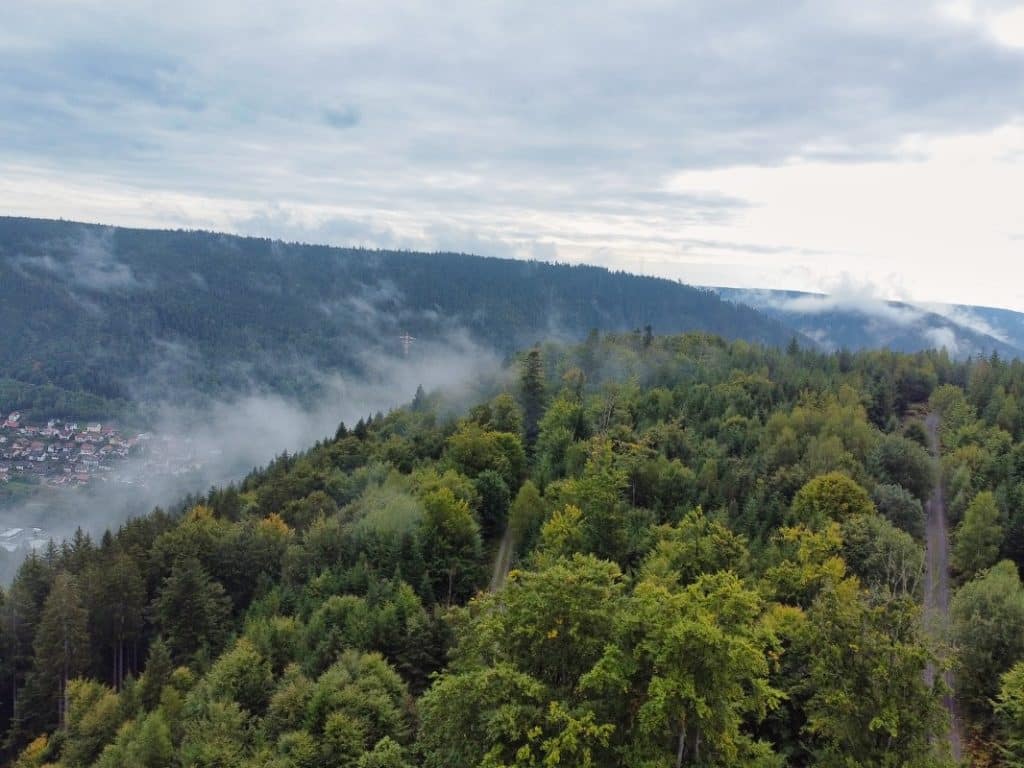 Blick über den Nördlichen Schwarzwald