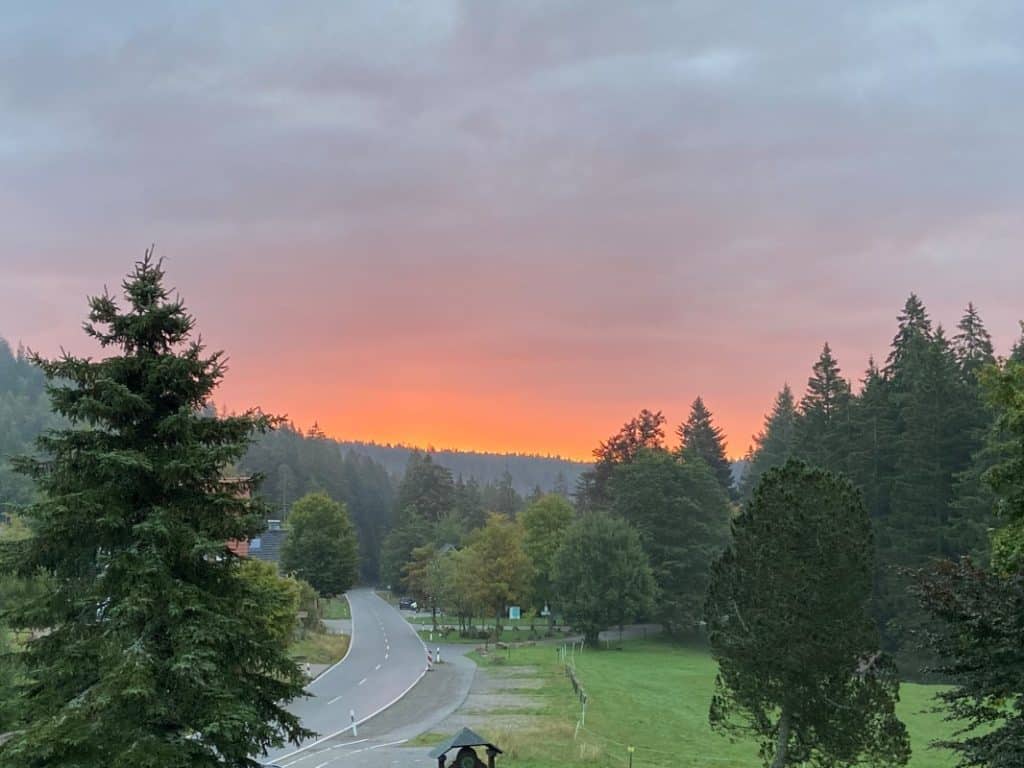 Urlaub im Schwarzwald