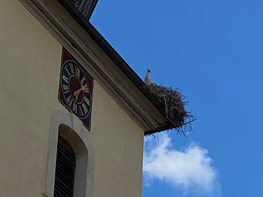 Storch auf dem Kirchendach