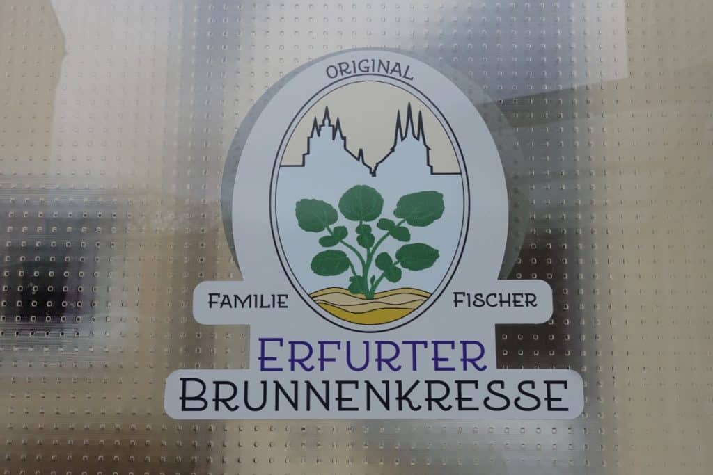Erfurter Brunnenkresse 