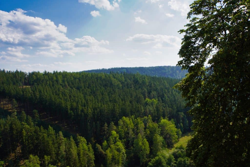 Ausblick vom schloss über die Wälder der Region
