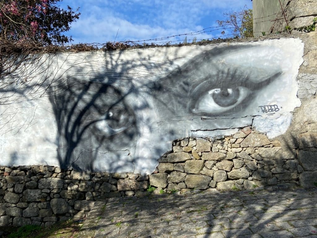 Streetart Tour in Porto
Mural im Park