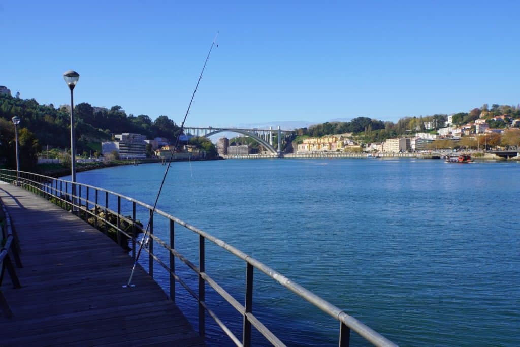 Angler am Douro