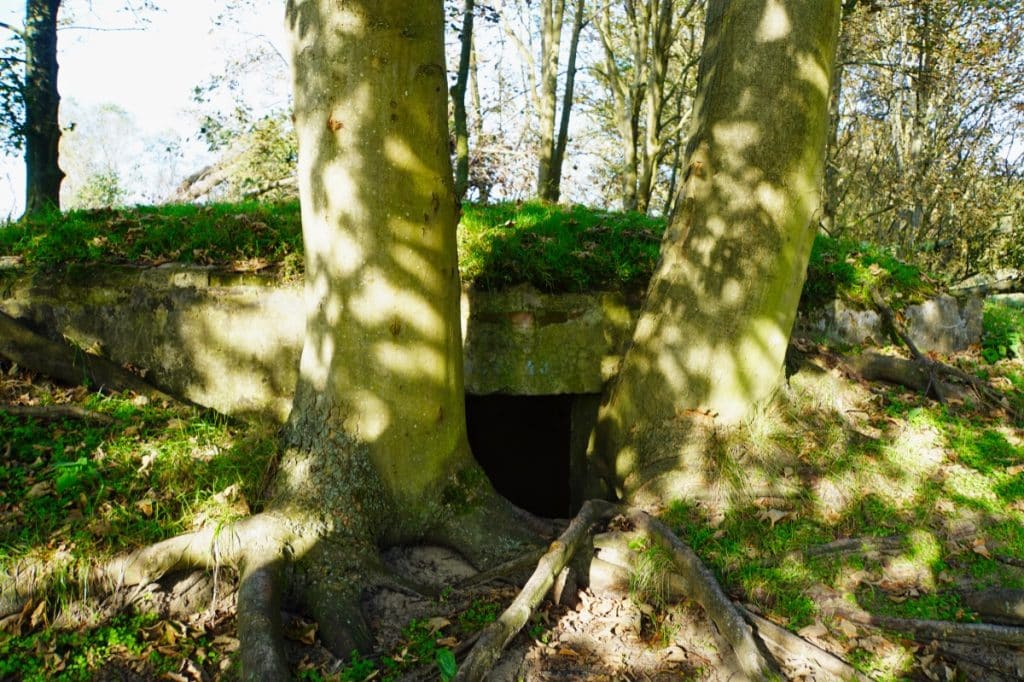 Amsterdamse Waterleidingduinen - Bunker aus dem Zweiten Weltkrieg