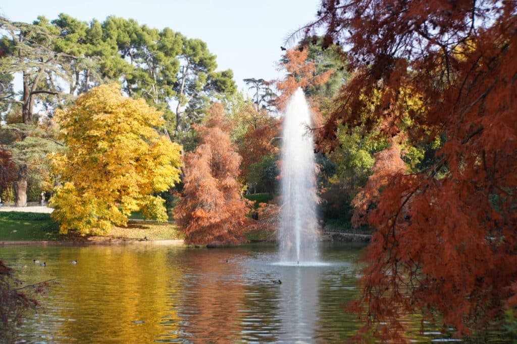 Springbrunnen im kleinen See im Madrider Park
