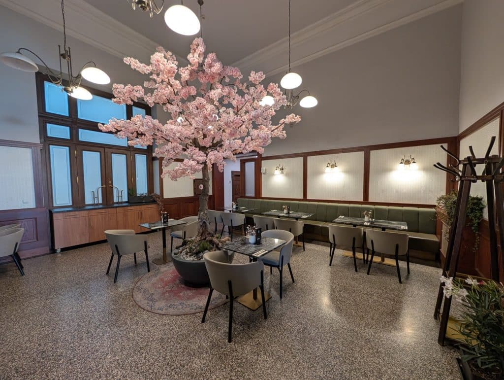 Der Innenraum des traditionellen tschechischen Restaurants BESADA in Pilsen ist mit einem großen, blühenden Kirschbaum in der Mitte, modernen Sitzgruppen und einer langen, grünen Polsterbank vor holzgetäfelten Wänden gestaltet.