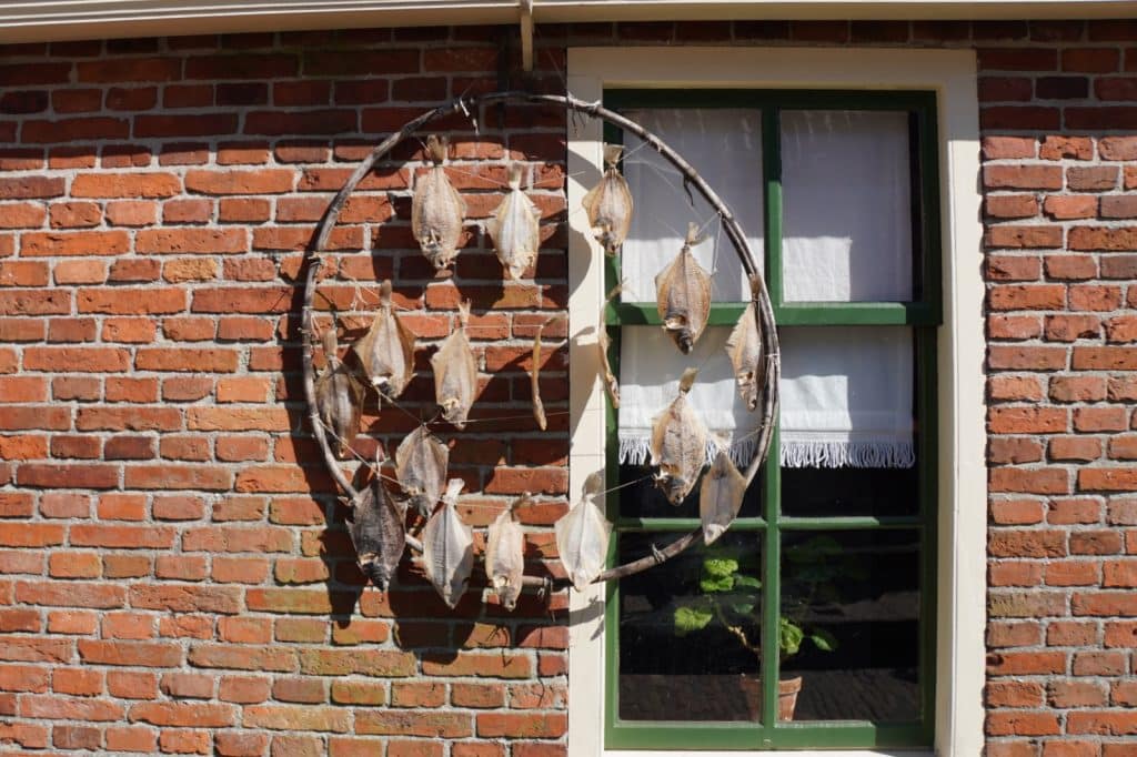 Fisch trocknet in der Sonne