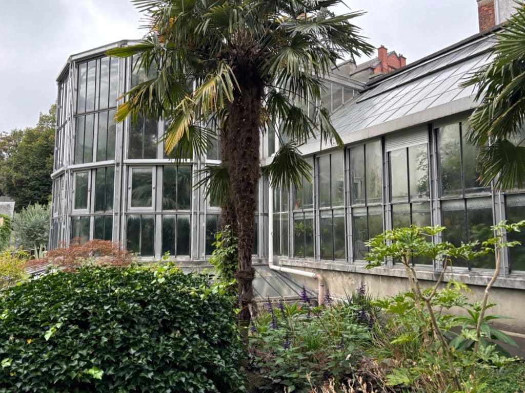 Das Bild zeigt das Gewächshaus im Botanischen Garten in Antwerpen. Das Gebäude mit Glasfassade wird von üppiger Vegetation umgeben, darunter Palmen, Büsche und verschiedene Blumen.