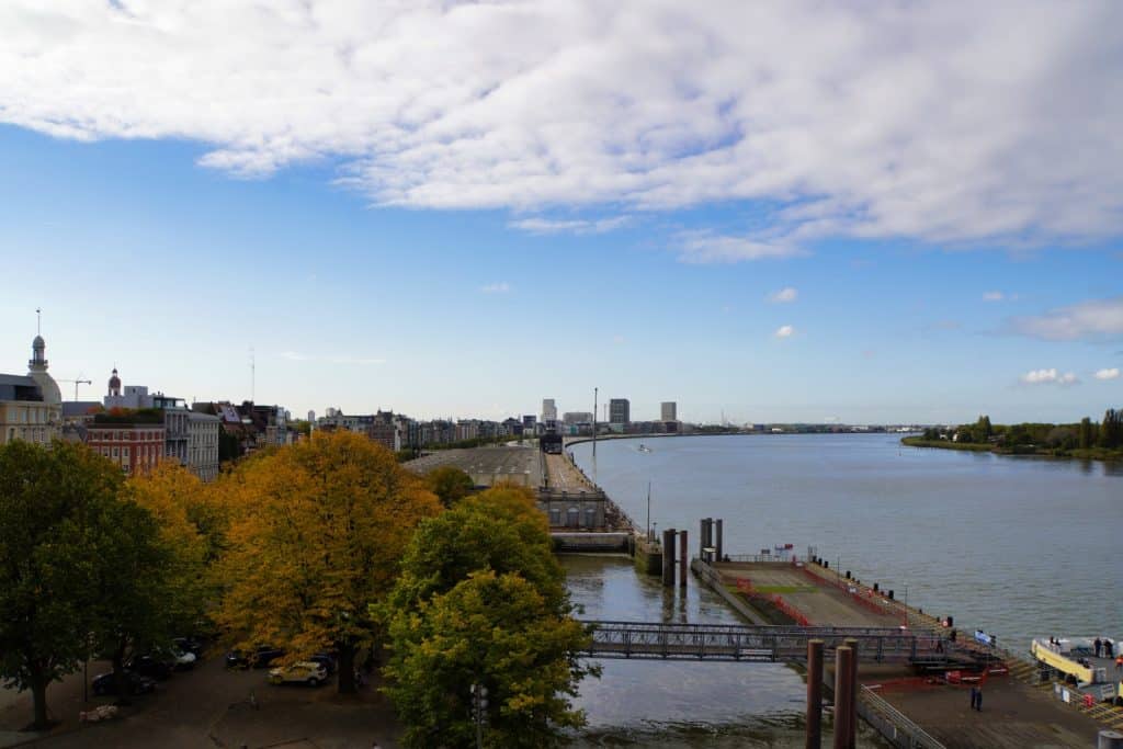 Das Bild zeigt eine Aussicht auf Antwerpen mit dem Fluss Schelde, aufgenommen von Het Steen aus. Im Vordergrund sind Bäume mit herbstlich gefärbten Blättern zu sehen, dahinter erstreckt sich die Stadt mit ihren Gebäuden und Türmen entlang des Ufers.