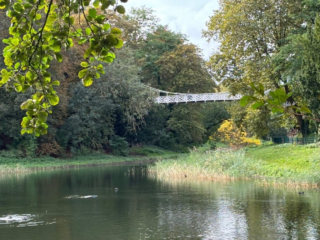 Das Bild zeigt die Brücke im Antwerpener Stadtpark, die sich über einen kleinen See spannt, umgeben von üppigem Grün und Bäumen, die teilweise im herbstlichen Farbton leuchten. Das Wasser spiegelt die umliegende Natur wider.
