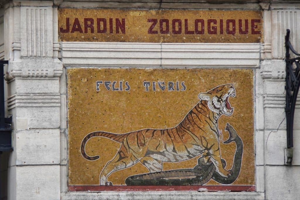 Das Bild zeigt ein Mosaik am Eingang des Antwerpener Zoos. Das Mosaik zeigt einen Tiger, der eine Schlange angreift, und darüber steht in Mosaikschrift "FELIS TIGRIS" und darüber "JARDIN ZOOLOGIQUE".