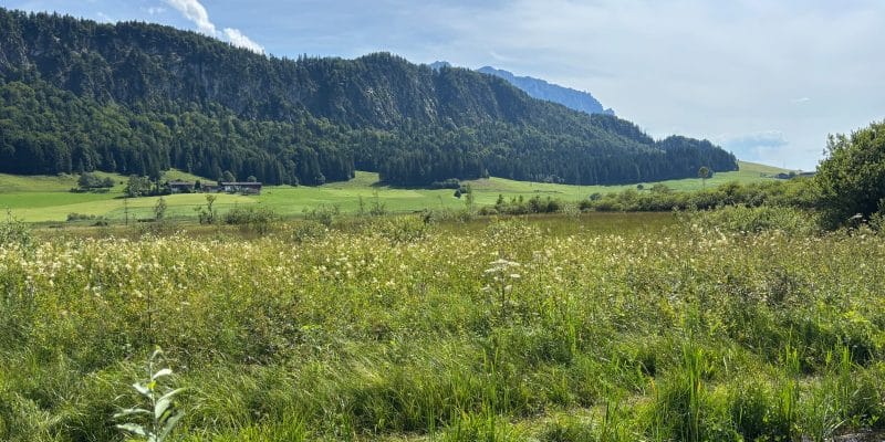 Schwemm das Moorgebiet im Kaiserwinkl