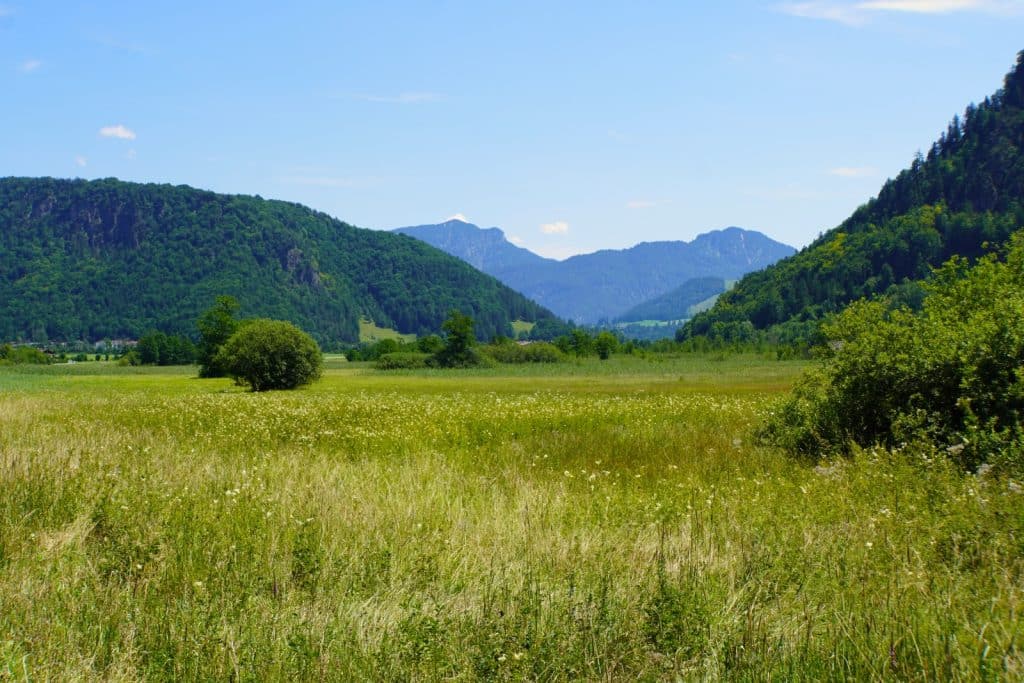 die Schwemm in Tirol