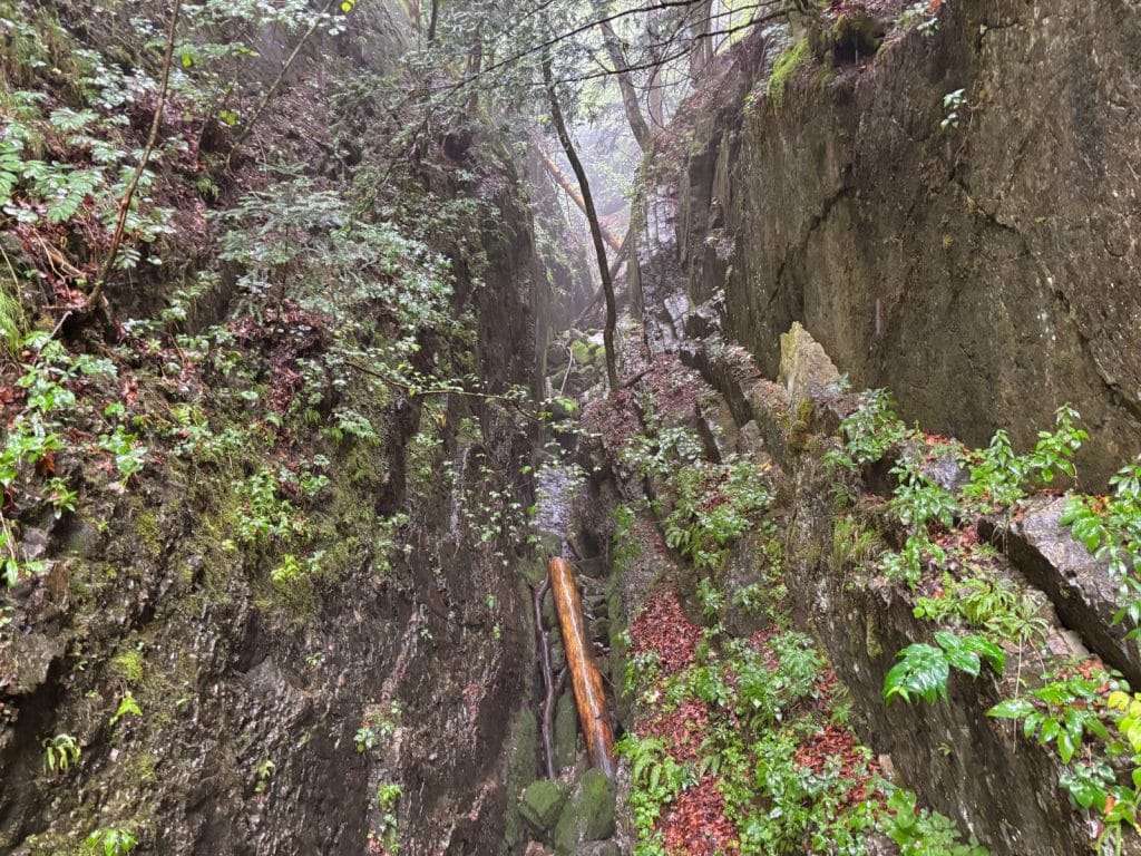 Schmugglerweg von Deutschland nach Österreich