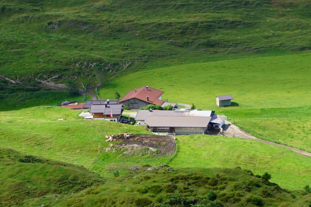 Wanderung zur Stubenalm