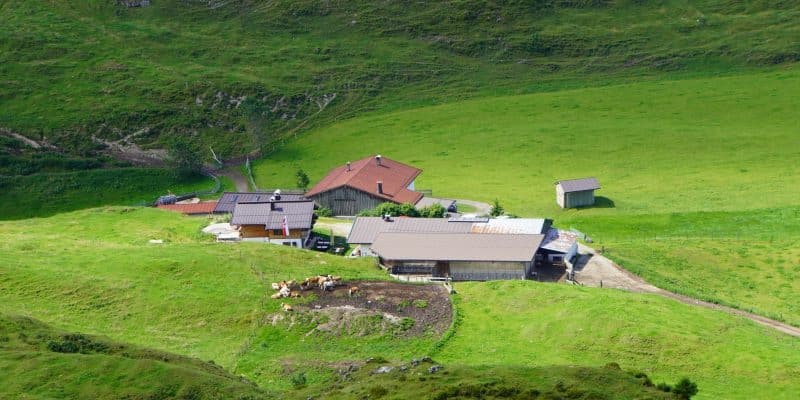 Wanderung zur Stubenalm