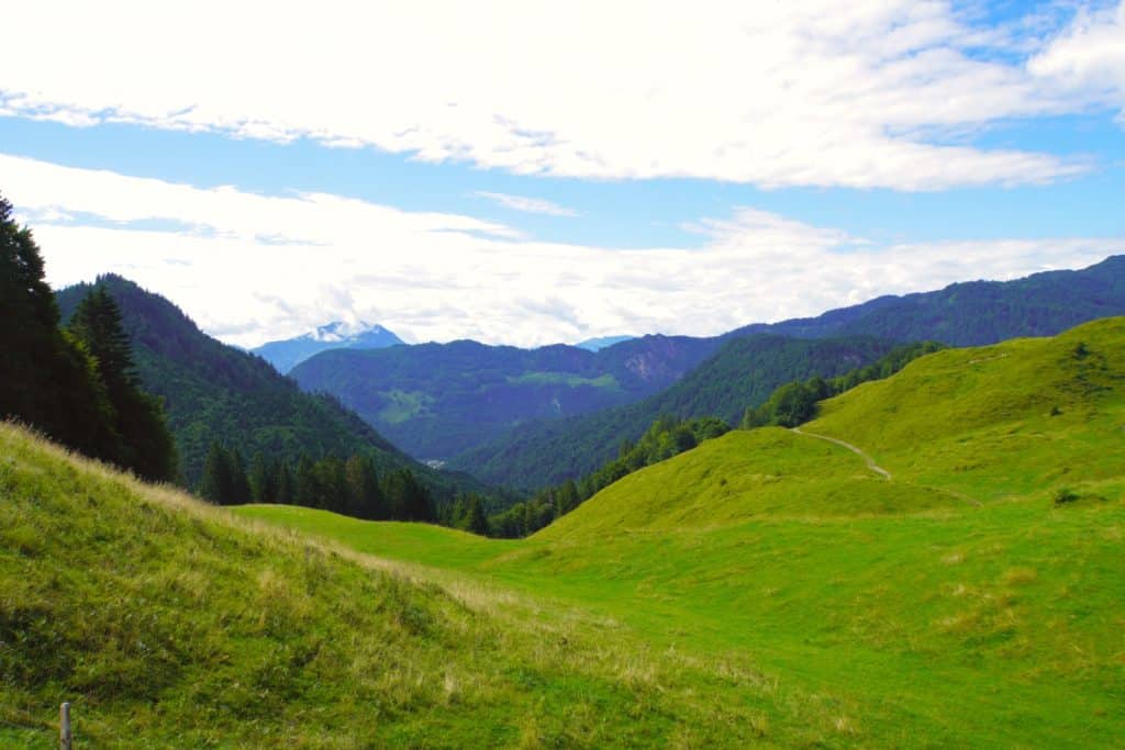 Almwiesen im KAiserwinkl