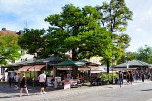 Belebte Szene am Münchener Viktualienmarkt mit Marktständen unter großen, schattenspendenden Bäumen und Passanten, die bei sonnigem Wetter über den Marktplatz flanieren.