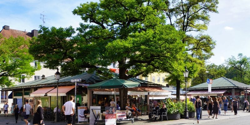 Belebte Szene am Münchener Viktualienmarkt mit Marktständen unter großen, schattenspendenden Bäumen und Passanten, die bei sonnigem Wetter über den Marktplatz flanieren.