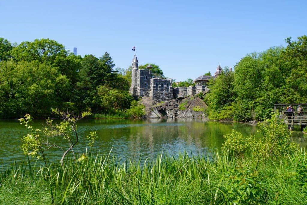 Das Belvedere Castle im New Yorker Central Park thront auf einem Felsen über dem Turtle Pond, umgeben von dichten grünen Bäumen unter einem klaren blauen Himmel. Im Vordergrund säumen hohes Gras und Schilf das Ufer des Sees, in dessen ruhigem Wasser sich das steinerne Schloss spiegelt.