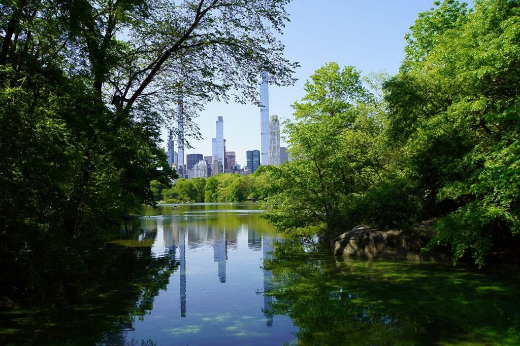 Blick von der Oak Bridge im New Yorker Central Park über den See auf die von grünen Bäumen eingerahmte Skyline von Manhattan, deren Wolkenkratzer sich im ruhigen Wasser spiegeln.