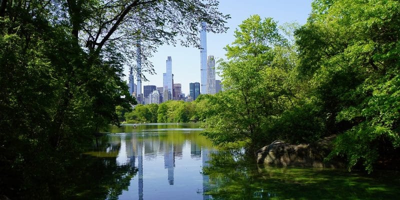 Blick von der Oak Bridge im New Yorker Central Park über den See auf die von grünen Bäumen eingerahmte Skyline von Manhattan, deren Wolkenkratzer sich im ruhigen Wasser spiegeln.