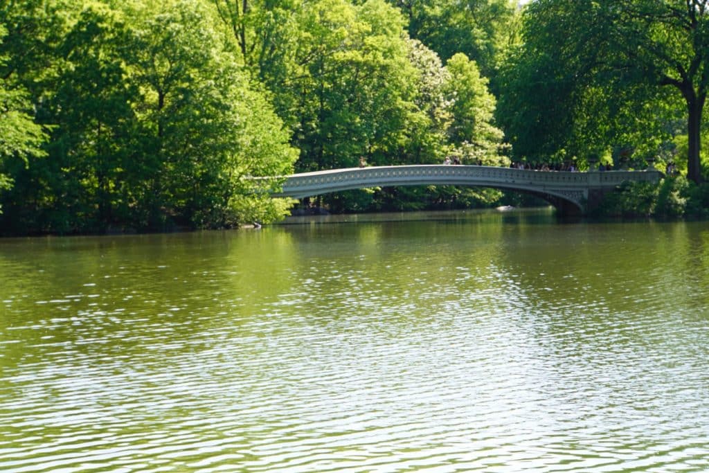 Die Bow Bridge im New Yorker Central Park überspannt als elegante, weiße Bogenbrücke einen ruhigen See, umgeben von dichtem, grünem Laubwerk.