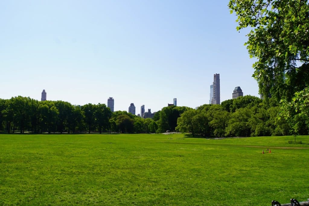 Blick über die weite, grüne Rasenfläche der Sheep Meadow im New Yorker Central Park, die von dichten Baumreihen und der markanten Skyline der Stadt im Hintergrund gesäumt wird.