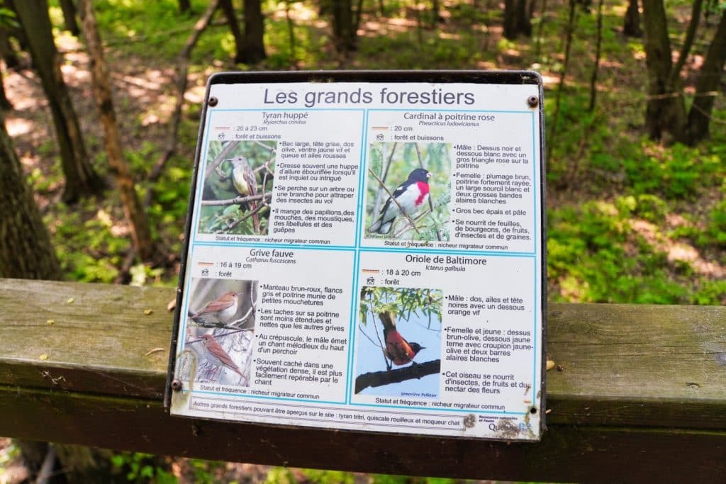 Informationstafel über die Vogelwelt im Naturschutzgebiet Pointe-Yamachiche