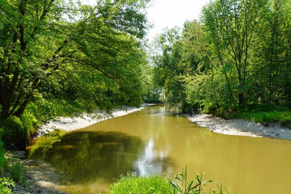 Naturschutzgebiet Pointe-Yamachiche