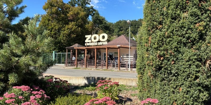 Zoo Pilsen